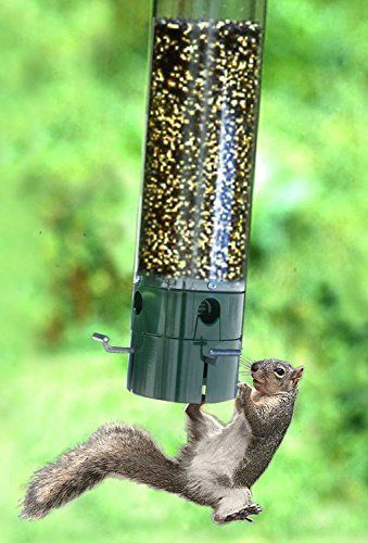 Woodlink 35250 Heritage Farms The Magnet Squirrel-Resistant Bird Feeder