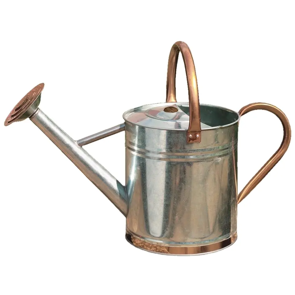 garden metal watering can /Watering Can Metal Outdoor /Garden Planter garden tools garden can for watering galvanized iron can