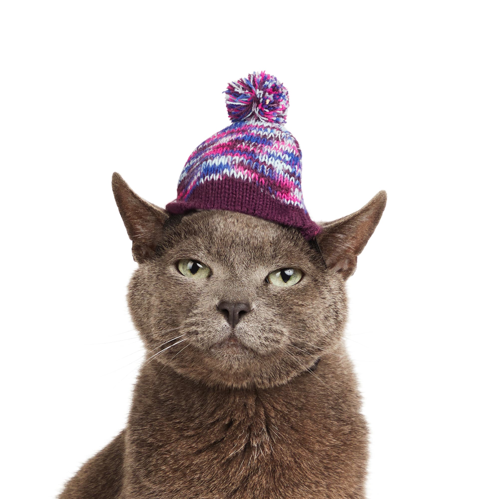 YOULY Cat Beanie， X-Small/Small