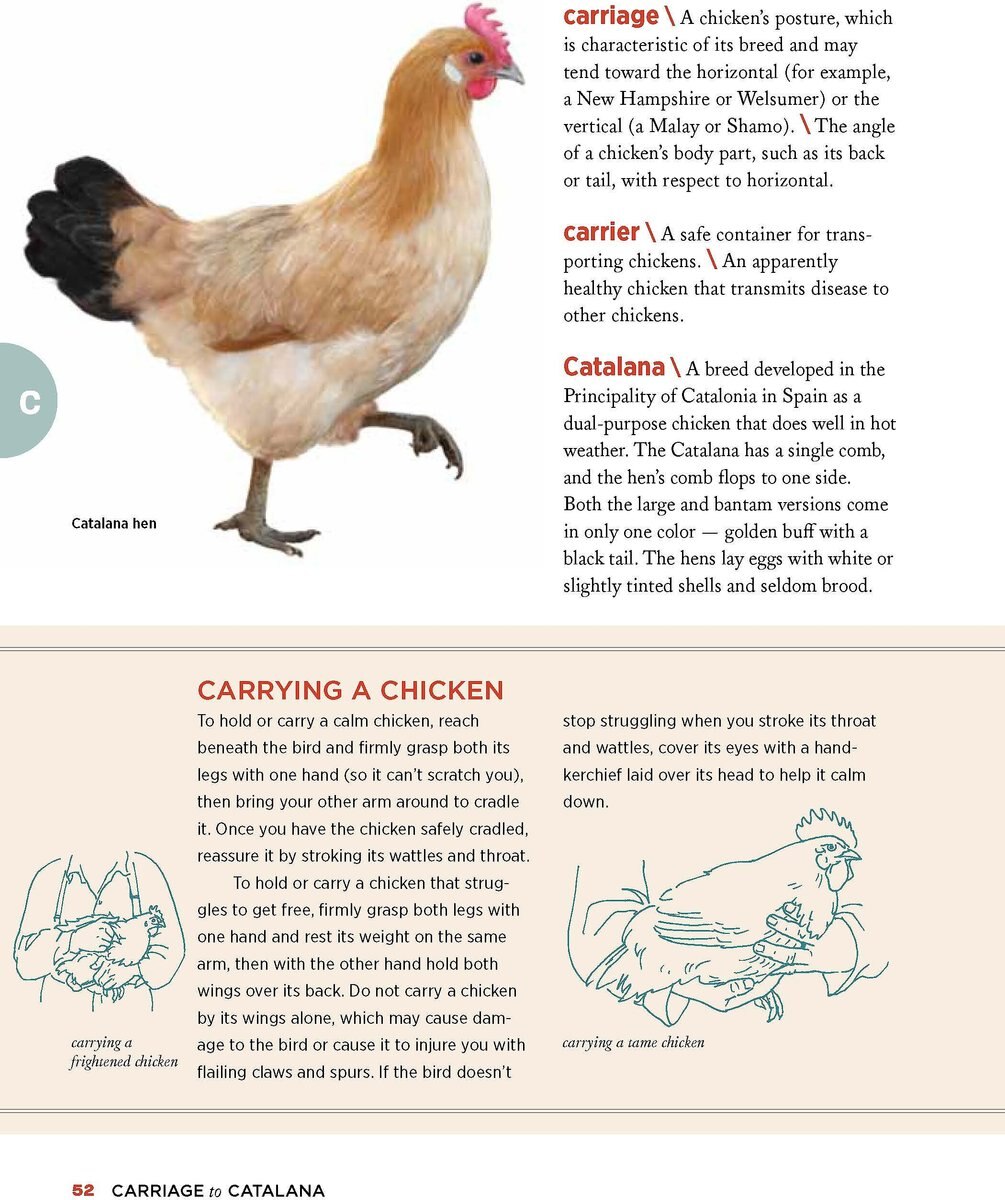 Chicken Encyclopedia