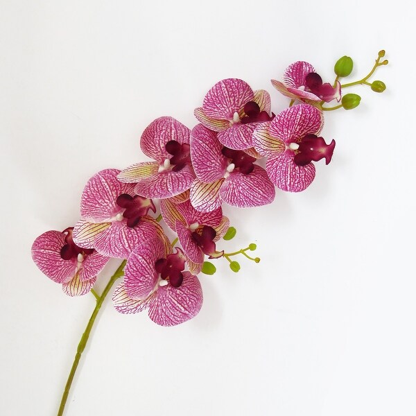 Set of 2 Natural Touch Artificial Phalaenopsis Orchid Flower Stem Tropical Spray 38.5in