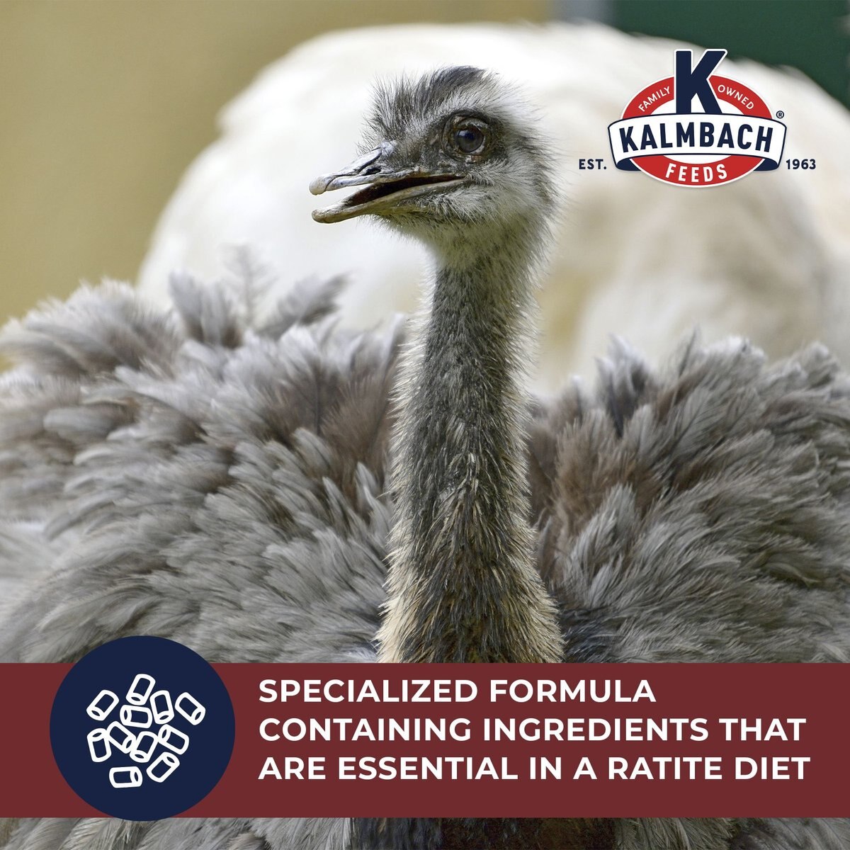 Kalmbach Feeds 20% Ostrich and Emu Pellet Ratite Food， 50-lb bag