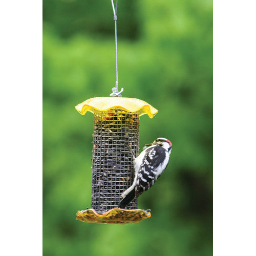 Birds Choice FF106 Forever Feeder， Stainless Steel Clear Sunflower Forever Feeder w/ Hanging Cable， 1 Quarts， Red