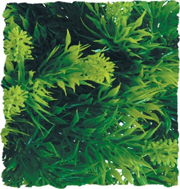 Zoo Med Malaysian Fern - Medium RZMBU-23