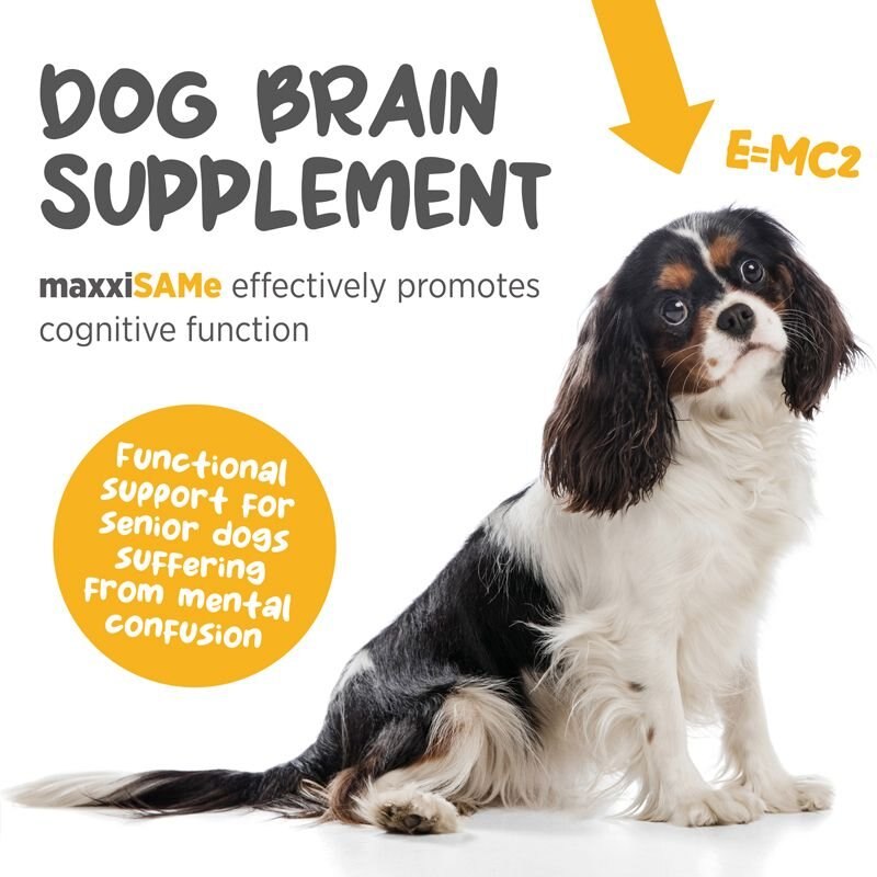 maxxipaws MaxxiSAMe SAM-e Supplement for Dogs