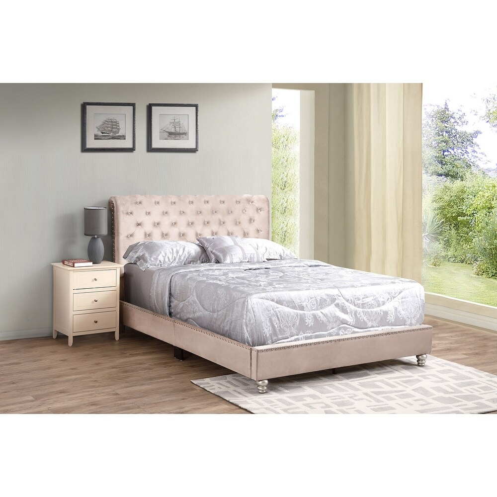 Maxx Tufted Upholstered Queen Panel Bed