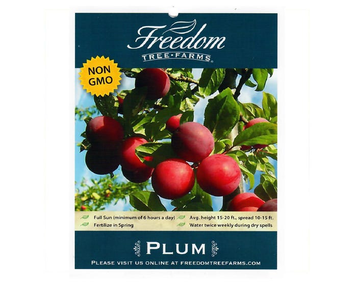 Freedom Tree Farms Bruce Plum Tree in 5 Gallon Bucket