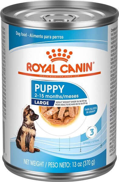 Royal Canin Size Health Nutrition Large Puppy Thin Slices in Gravy Wet Dog Food， 13-oz， case of 12