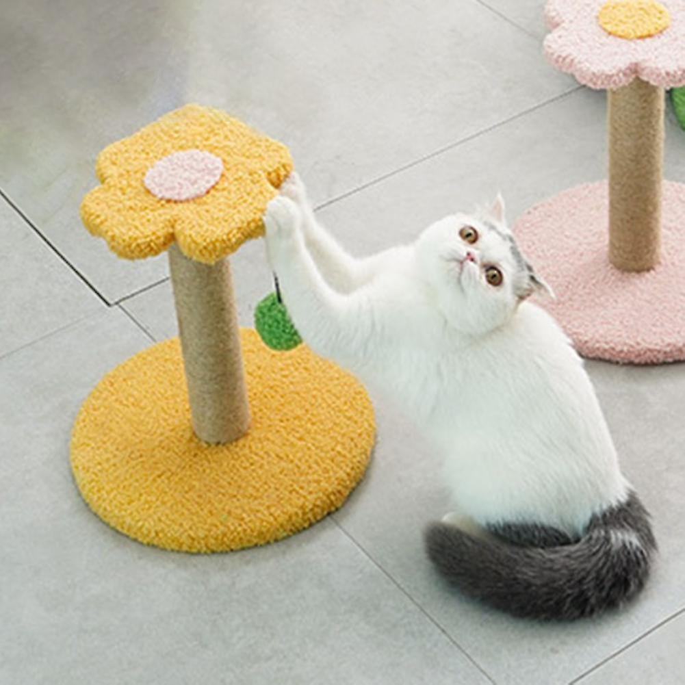 Cute cats scratching post