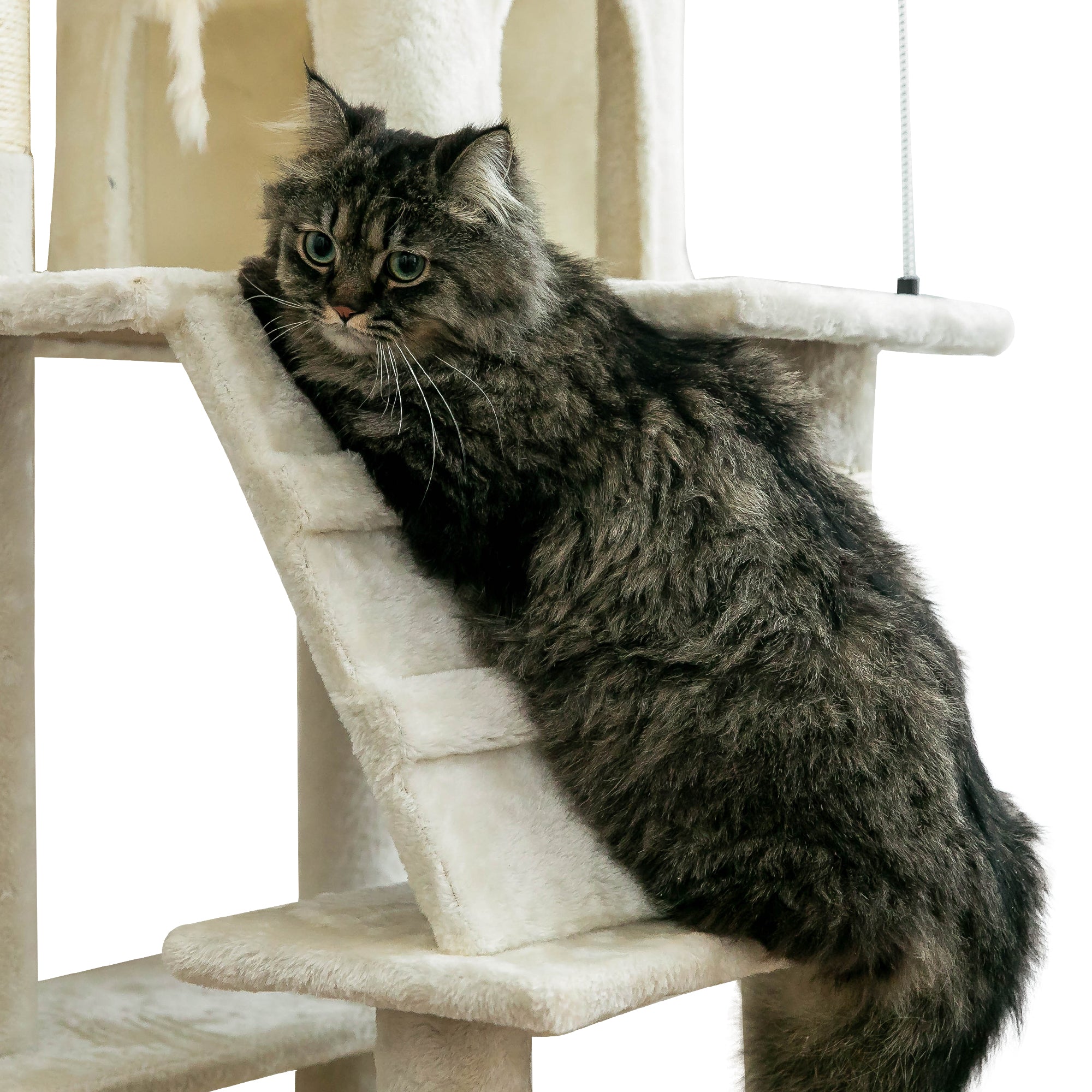 MWPO 63.8" Multi-Level Cat Tree with Condo and Scratching Post Tower, Beige