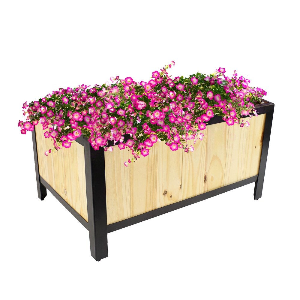 Steel Framed Acacia Wood Raised Garden Bed   15.5\