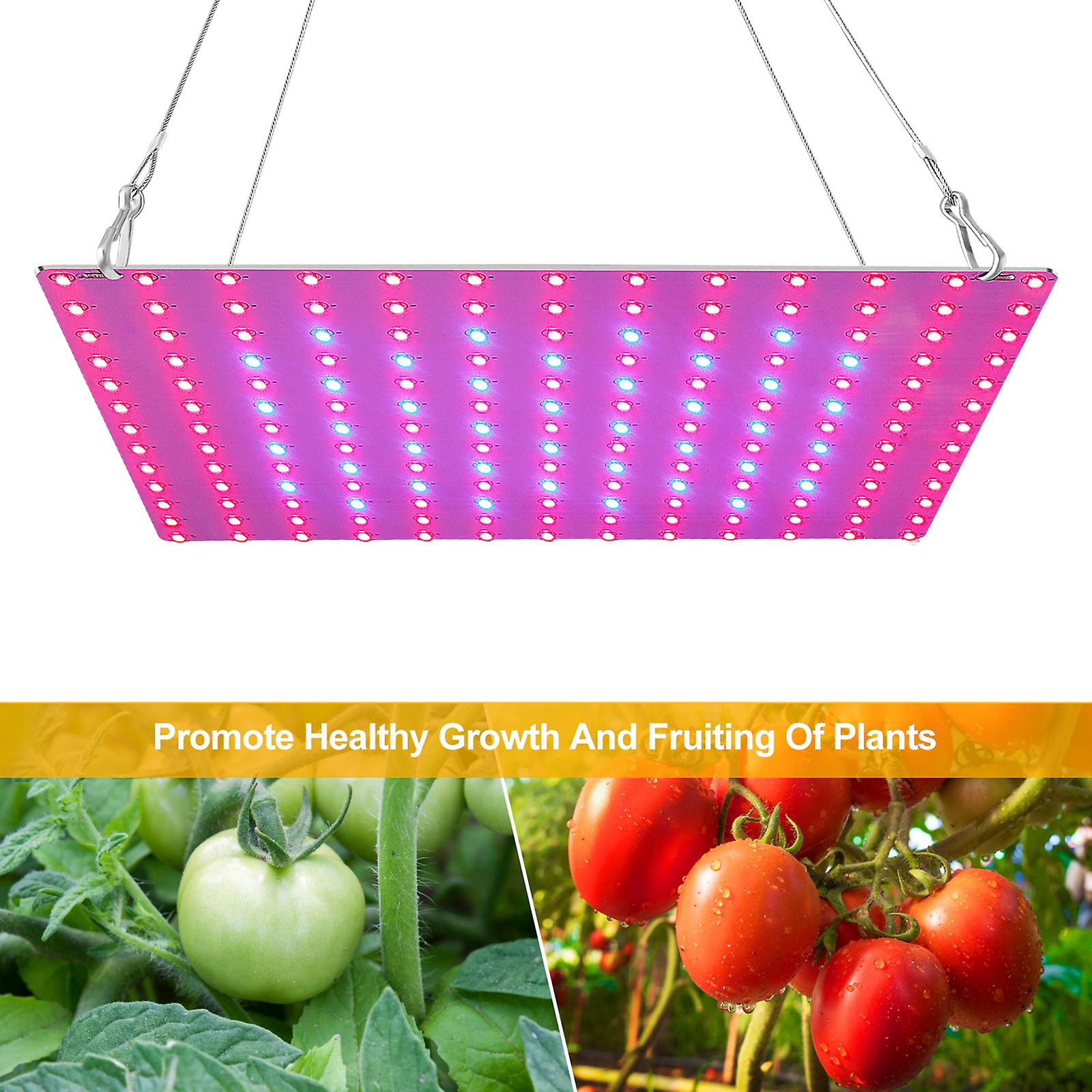 Uk Plug and S Led Grow Light Red Blue Full Spectrum 81 Leds Grow Lamps Led Panel Grow Light For Succulents Hydroponic Greenhouse Indoor Plant Flower Veg