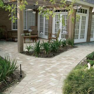 Pavestone Holland 45 mm 7.87 in. L x 3.94 in. W x 1.77 in. H Rivertown Blend Concrete Paver ( 672-Piece145 sq. ft.Pallet) 22049