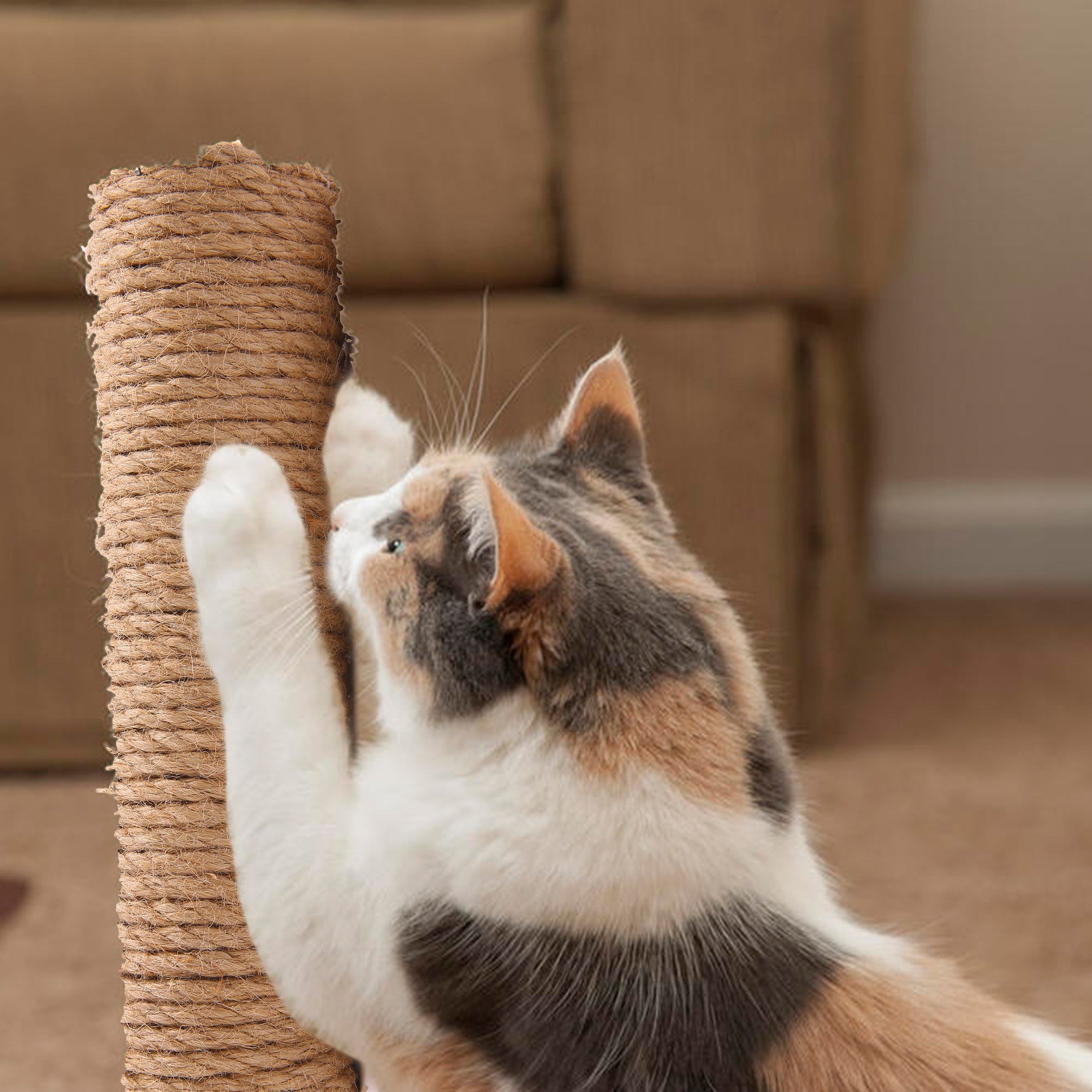 PUMYPOREITY Cat Scratching Post， Sisal Scratch Posts with Hanging Ball， Durable Sisal Rope Claw Scratcher for Cats， Pet Scratch Sturdy Scratcher Pole Tower