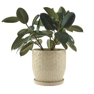 Trendspot 12 in. Dia Ivory Rivage Ceramic Planter CR10853-12B