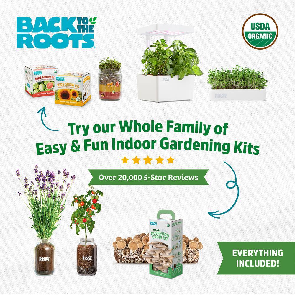 Back to the Roots Organic Lavender Grow Kit 25500