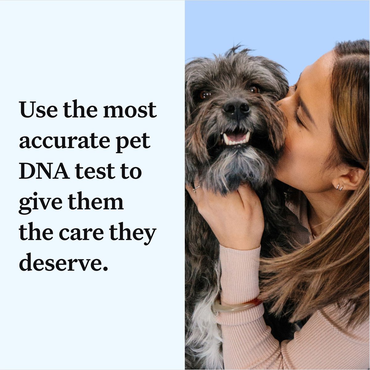 Wisdom Panel Essential Breed Identification DNA Test for Dogs