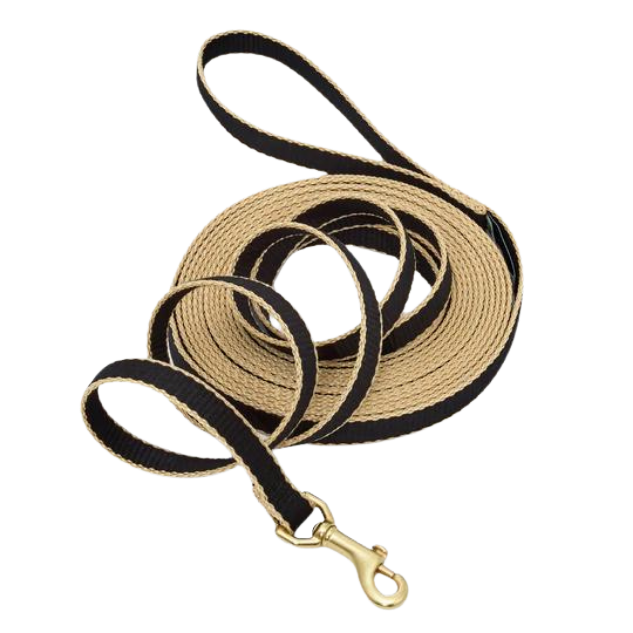 Training Leash | Black & Tan