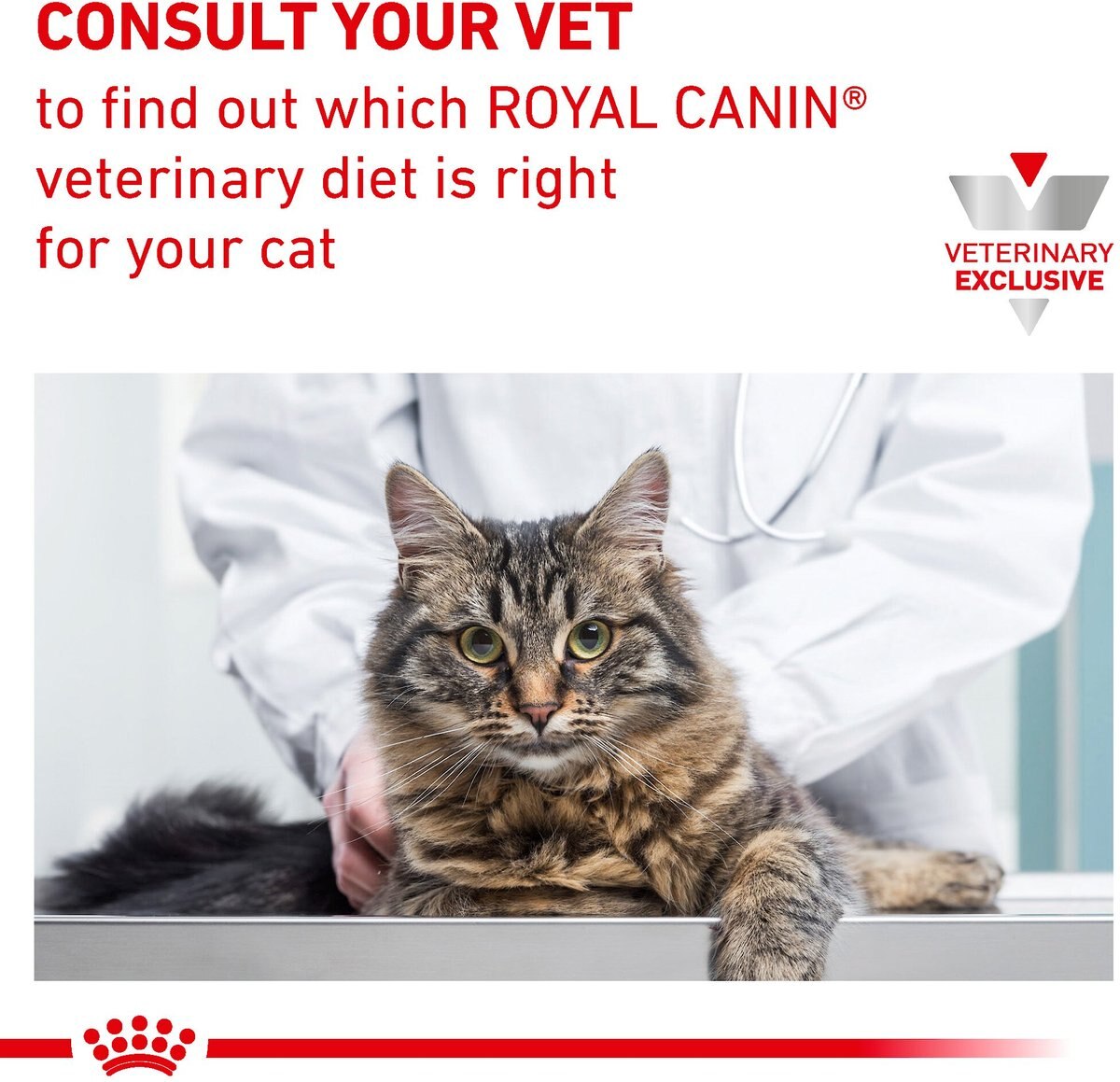 Royal Canin Veterinary Diet Adult Calm Dry Cat Food