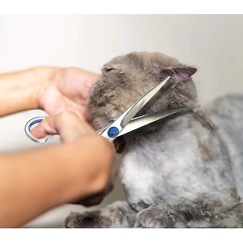 Professional dog curved grooming shears