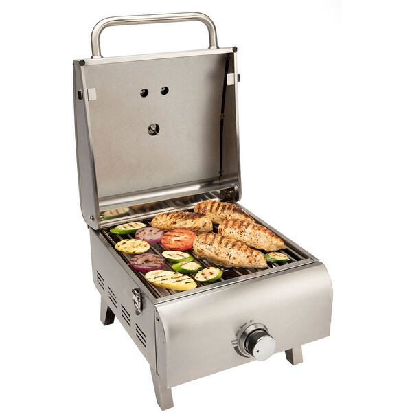 1 Burner Silver Propane Portable Gas Grill