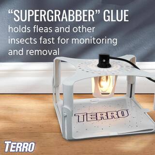 TERRO Refillable Flea Trap T230