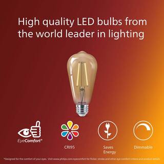 Philips 40-Watt Equivalent ST19 Straight Filament E26 Base LED Vintage Edison LED Light Bulb 2000K Amber (2-Pack) 564849