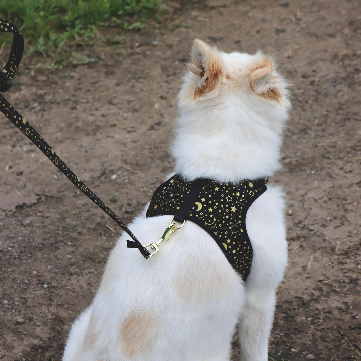 Accent Fashion Metallic Adjustable Dog Harness