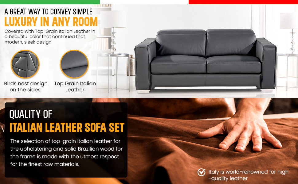 Carlo Top Grain Italian Leather 2 Piece Set   Modern   Sofas And Sectionals   by Luxuriant Furniture  Houzz