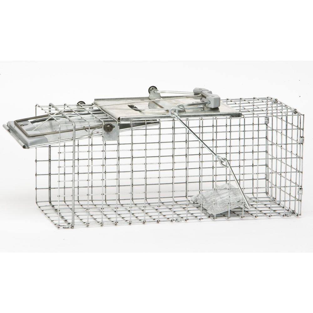 Havahart Small 1-Door Easy Set Live Animal Cage Trap for Squirrel and Rabbit 1083