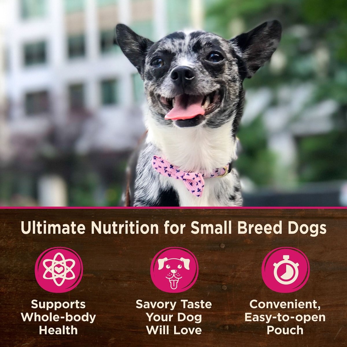 Wellness CORE Grain-Free Small Breed Mini Meals Chunky Chicken and Chicken Liver in Gravy Dog Food Pouches