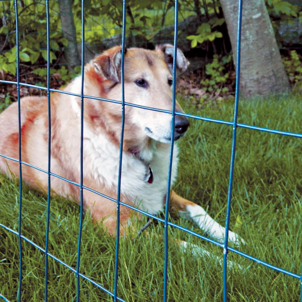 Garden Craft 24in H x 50ft L Green Vinyl Coated Steel Wire Fence with 2in x 3in Openings