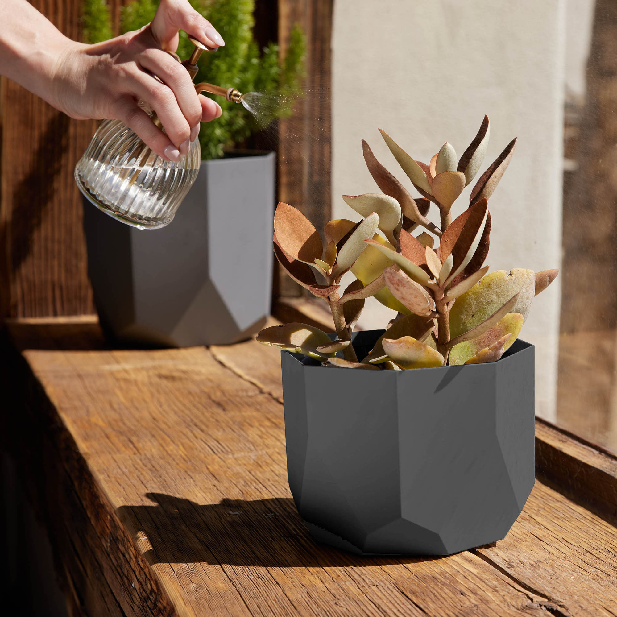 Bloem Tuxton Modern Hexagon Small Planter: 10" - Charcoal - Matte Finish, Durable Resin, Modern Design, Optional Drainage Holes, For Indoor and Outdoor Use, Gardening, 2.7 gallon capacity