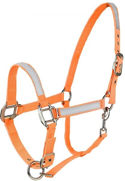 Horze Equestrian Reflective Horse Halter， Orange