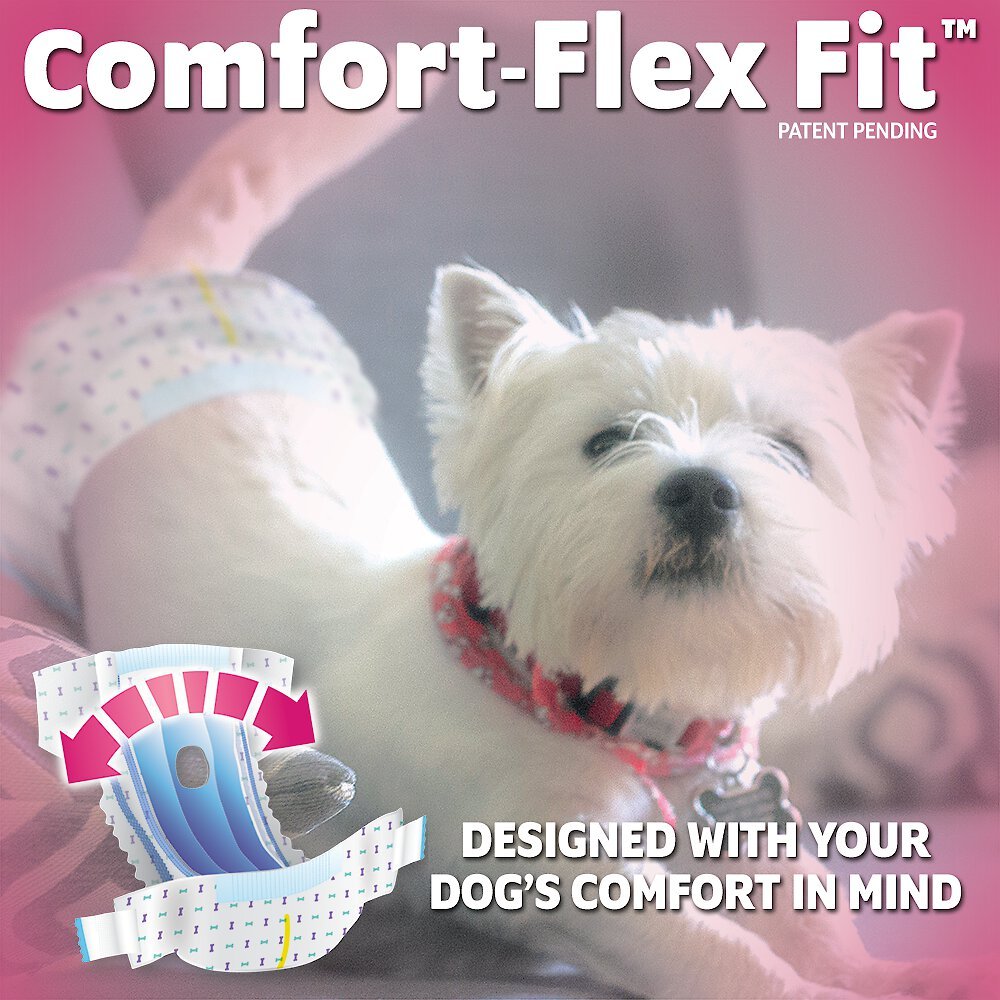 OUT! Disposable Female Dog Diapers