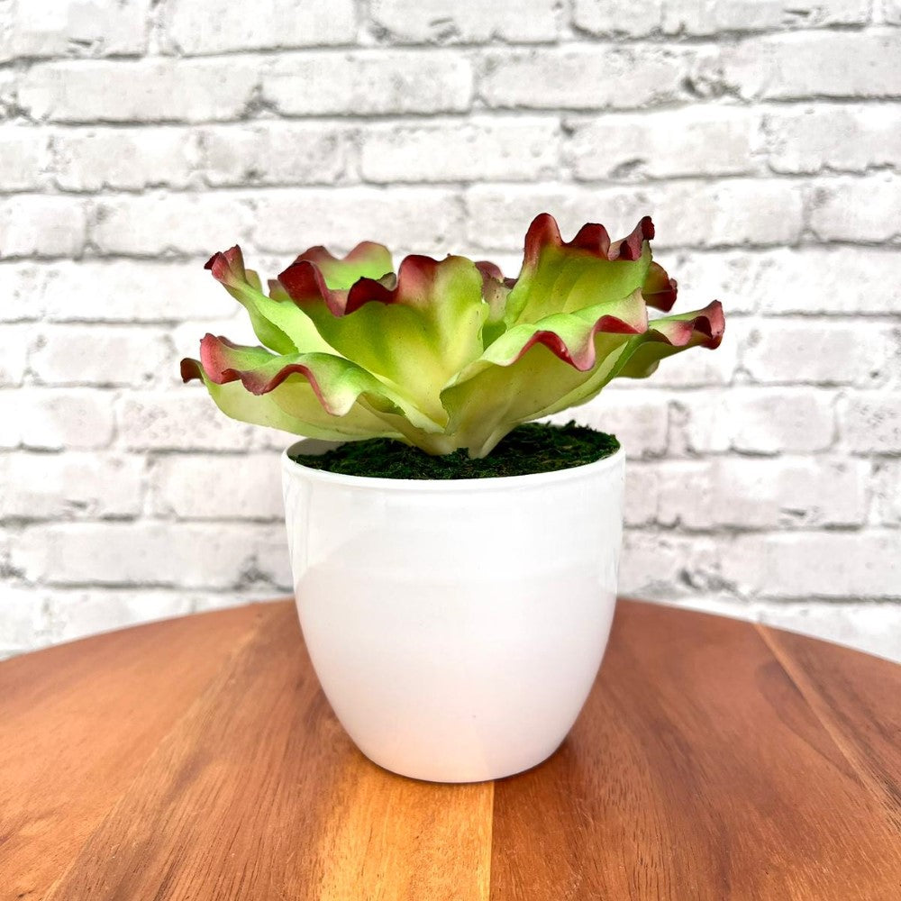 Gorgeous Artificial Plant in Pot of Your Choice