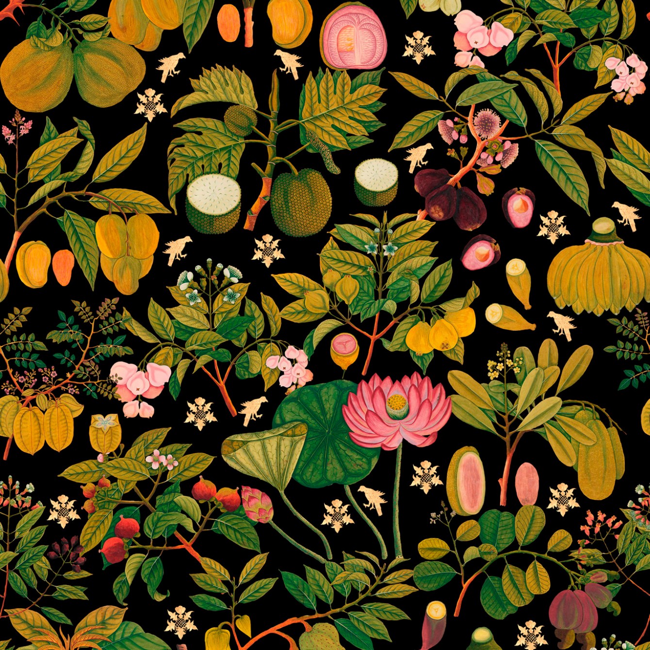 Sample Asian Fruits and Flowers Wallpaper in Dark Multi from the Florilegium Collection by Mind the Gap