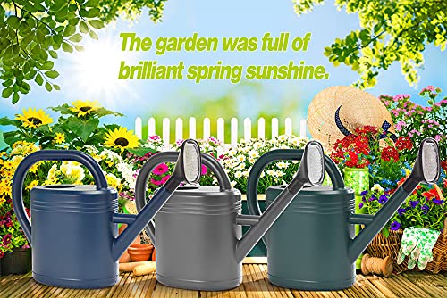 NERUB Watering Can 1 Gallon for Indoor Plants, Garden Watering Cans Outdoor Plant House Flower, Gallon Watering Can Large Long Spout with Sprinkler Head (Blue)