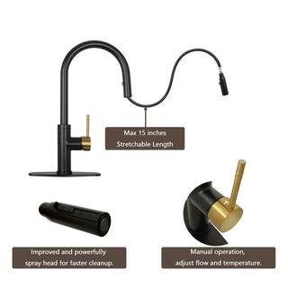 Akicon Single-Handle Pull Down Sprayer Kitchen Faucet with Deckplate in Black and Gold AK96416-BLBG