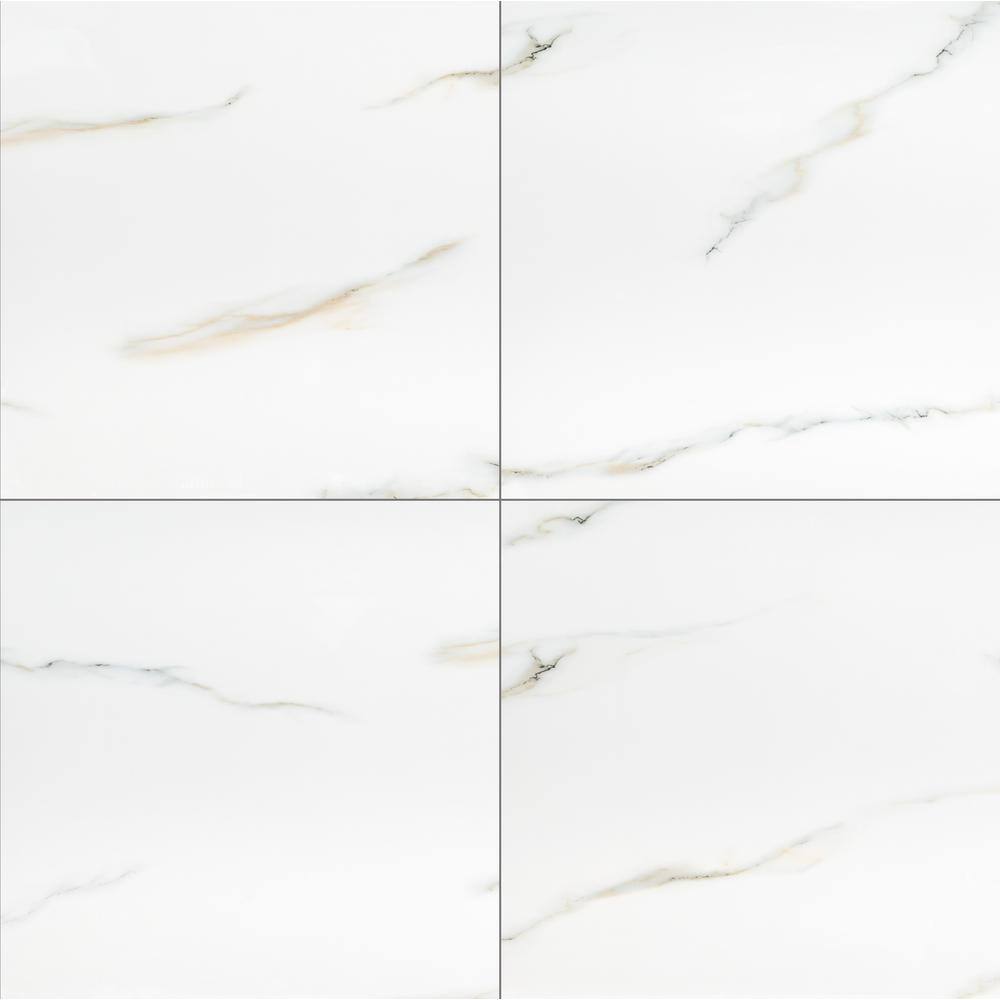 MSI Aria Bianco Polished Porcelain Floor and Wall Tile NARIBIA2424P