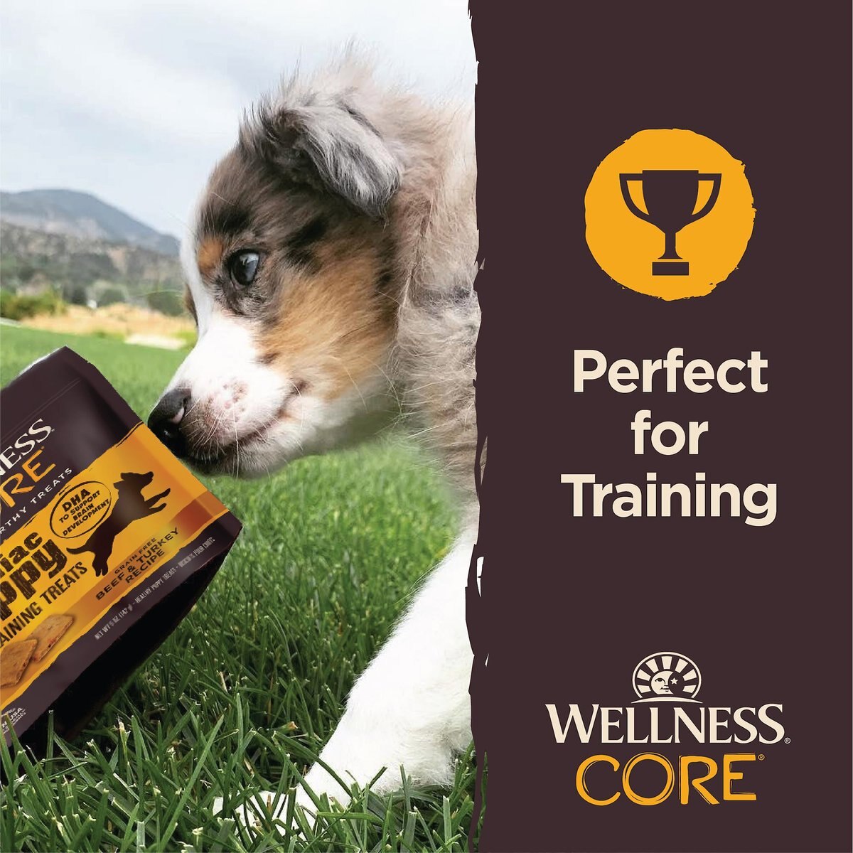 Wellness Brainiac Puppy Beef and Turkey Soft Training Dog Treats， 3-oz bag