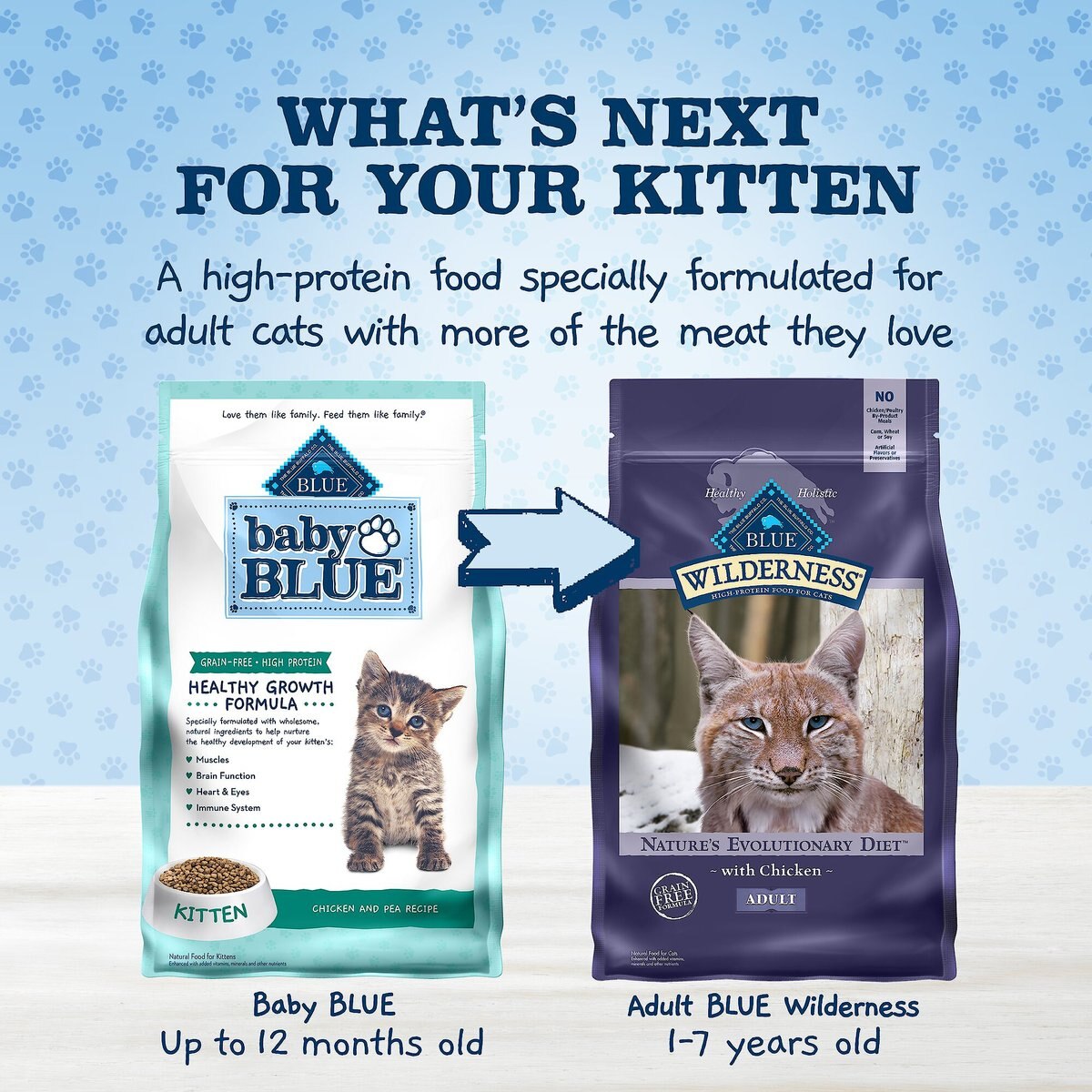 Blue Buffalo Baby Blue Healthy Growth Formula Grain-Free High Protein Chicken and Pea Recipe Kitten Dry Food