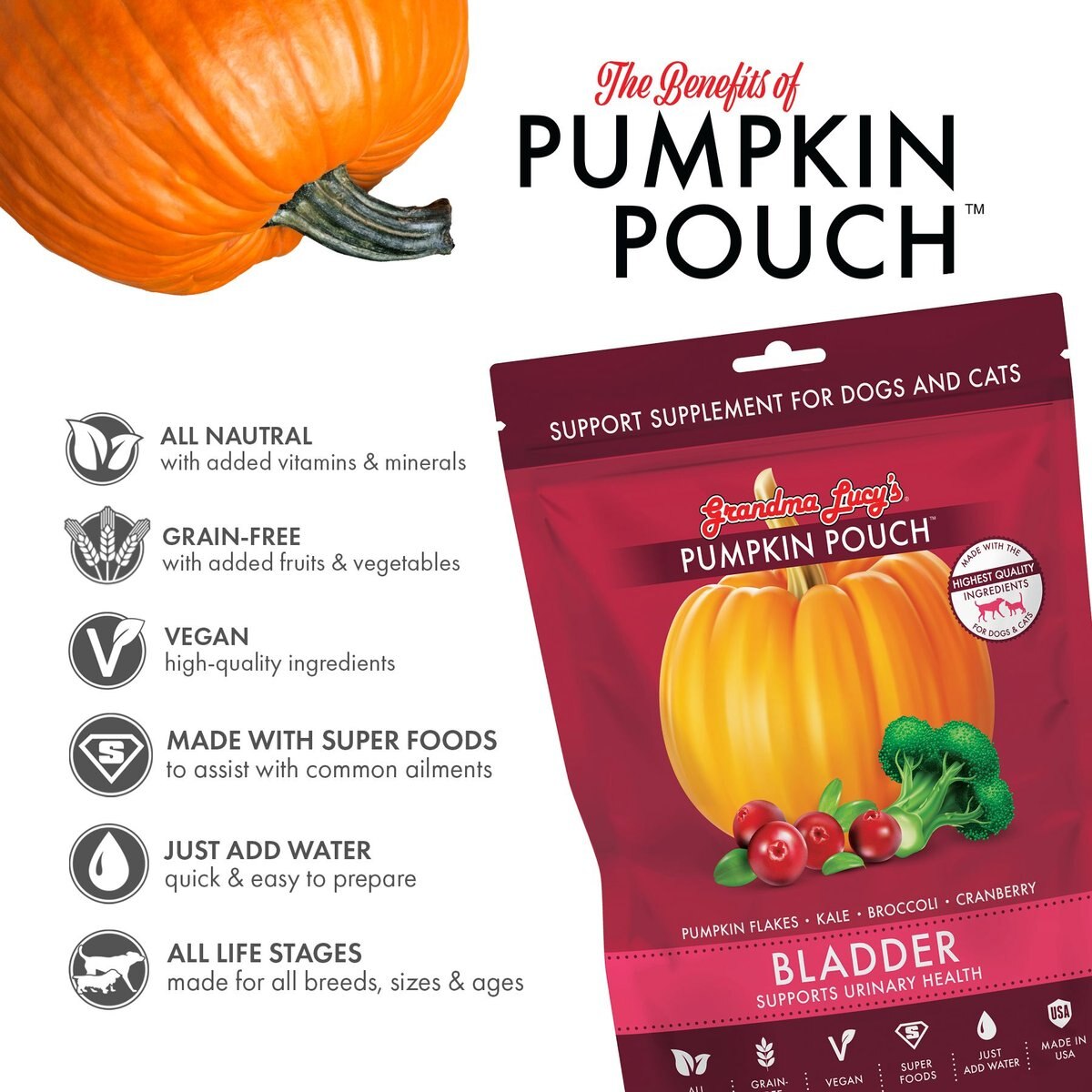 Grandma Lucy's Pumpkin Pouch Bladder Freeze-Dried Dog and Cat Food Topper， 6-oz bag