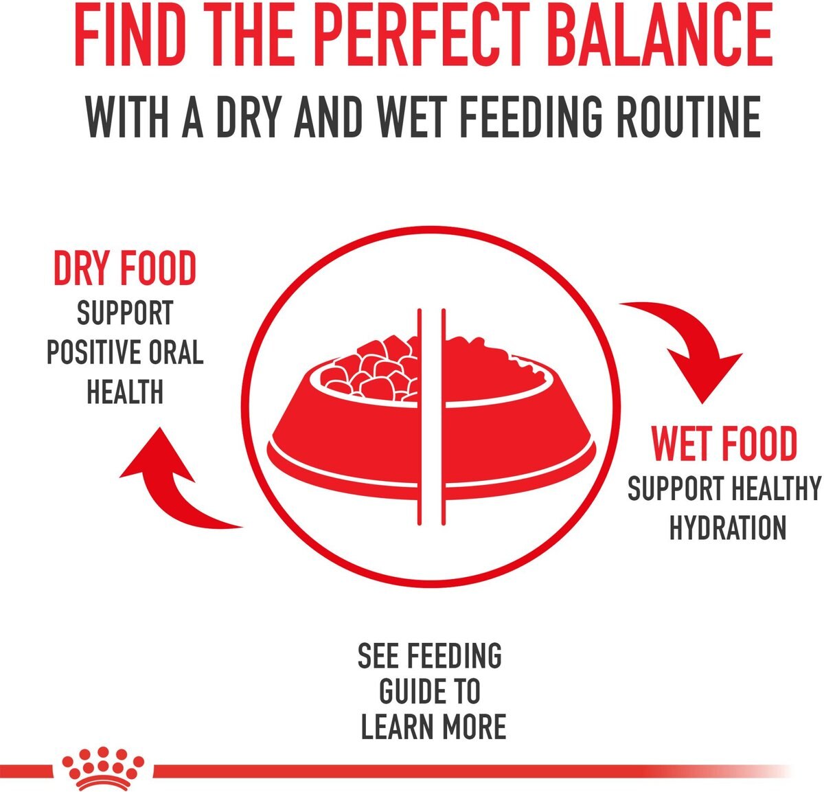 Royal Canin Aging 12+ Thin Slices in Gravy Canned Cat Food