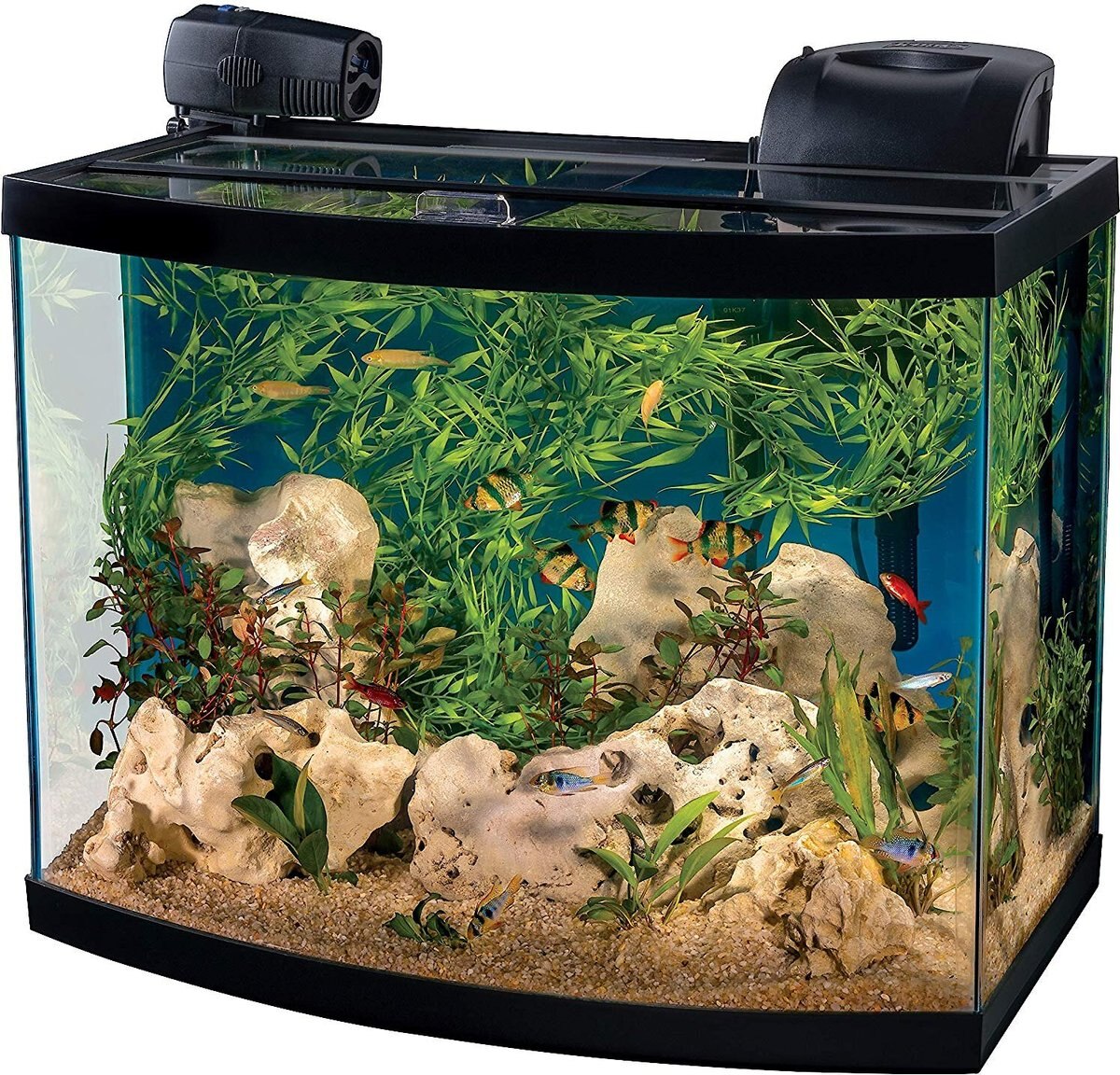 Tetra Connect Curved Aquarium Kit with WiFi Feeder， 28-gal