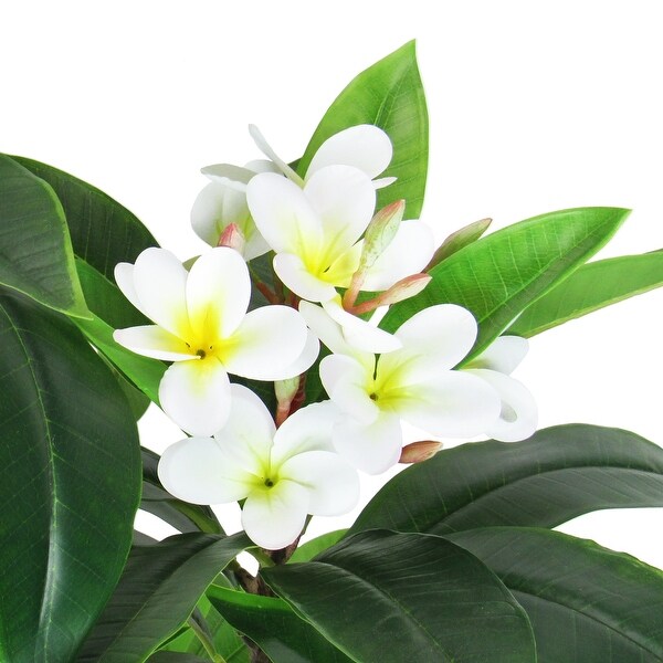 4ft Cream Artificial Plumeria Flower Tree Tropical Plant in Black Pot