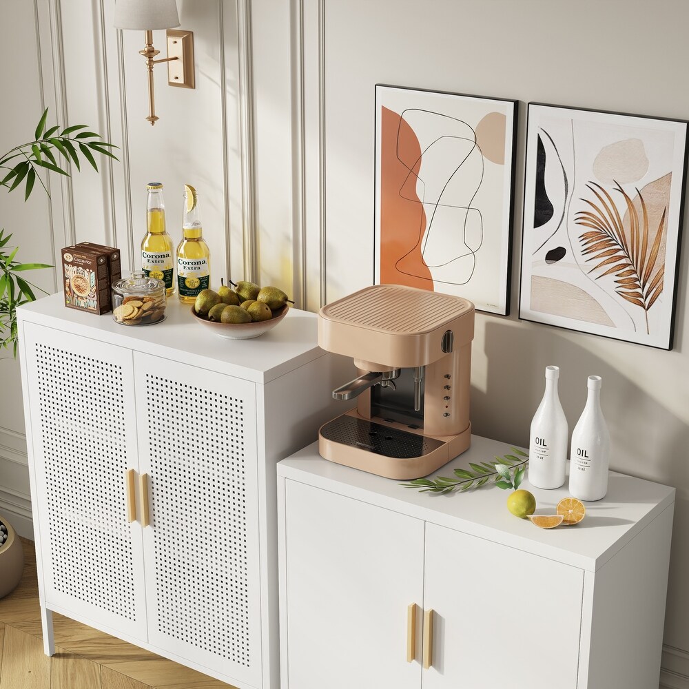 Steel Storage Cabinet with 2 Doors and 2 Adjustable Shelves