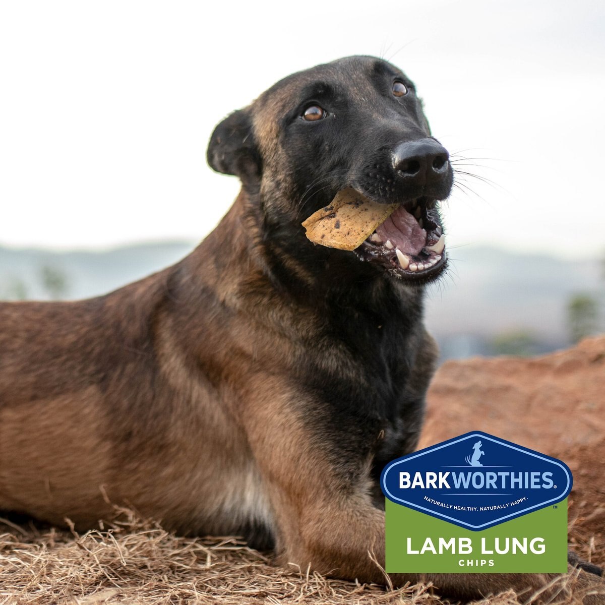 Barkworthies Lamb Lung Dehydrated Dog Treats