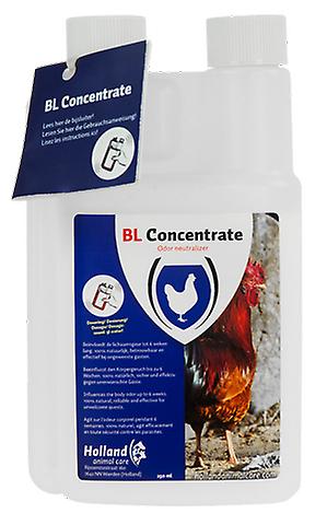 BL Concentrate