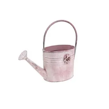 Customized Gardening Flowers Long Spout Water Kettle Galvanized Power Coated Metal Watering Can Garden